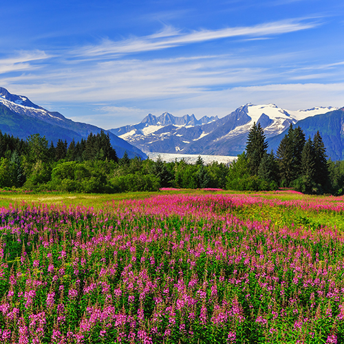 Juneau, Alaska