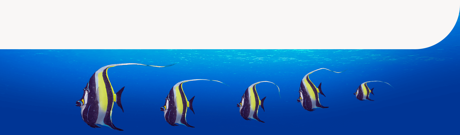 The Caribbean voyage your clients deserve.